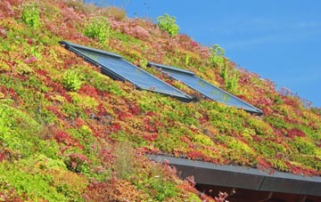 Burham living roof systems