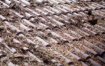 Burham roof cleaning companies